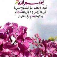 mamss_m1971