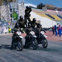 the.pol2