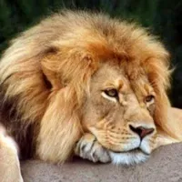 original sound - georgejordan07