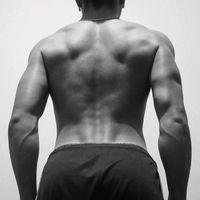 un.chicle.de.frasess