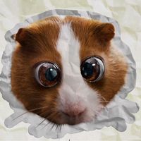 оригинальный звук