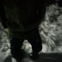 оригинальный звук