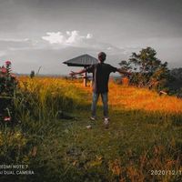 suara asli - almarhum555