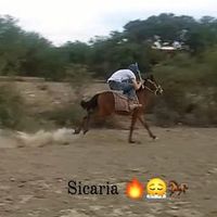 franciscoalvarado140