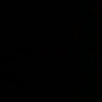 sonido original - flo