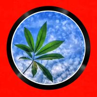 เสียงต้นฉบับ - Naa..