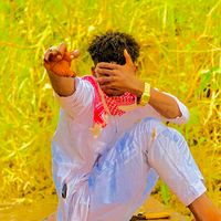 الصوت الأصلي