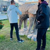 الصوت الأصلي