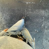original sound