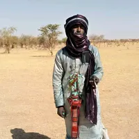 original sound - user3659659611772