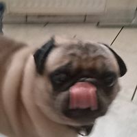 hellyxiia.on.tiktok