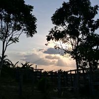fabi13046534