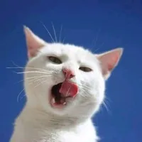 original sound - _anwen_25