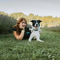 toomanycanines