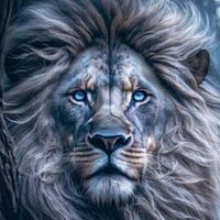 marcoariel0707