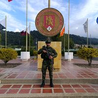 davian448