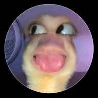 suara asli - zunur jax👄
