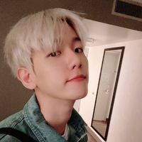 baekhyuninb100