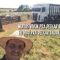 emillianobarrostranssilv