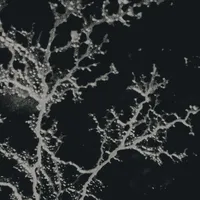 original sound - s0phsmvlti