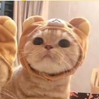 lily_doniki