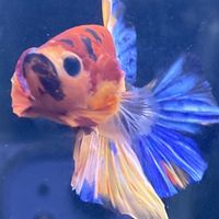 AND THERES NO MONEY IN HERE