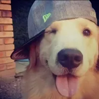 original sound - rebekahiscool_