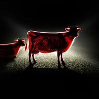 оригинальный звук