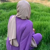zeynoke650