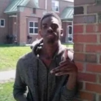 fragility flawed mangoes donnie darko