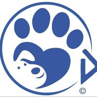 original sound - DASH Dogs Shelter in Greece