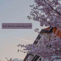 userky0tt7huuc