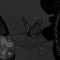 original sound - sp3d..up..audi0s