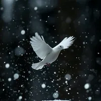 original sound - shorebound_42