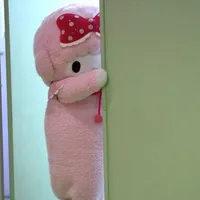 original sound - si6do1be1lei2