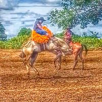 wellingtonrondon2887