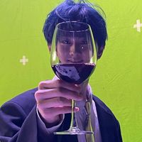 wonssdiary