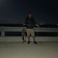 original sound - abelsantos036