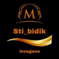 sti__bidik_inzgne