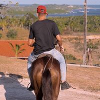 lucastrind04