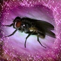 user248011035