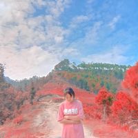 nhạc nền - ^-^__SДy__2。❍ʖ͡__^-^23♡