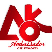ambassadoroseikwadwo1