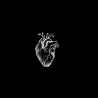ahrree._hdvfbd