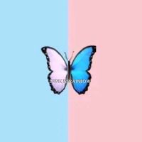 d.u.n.k.i.n.s.rainbow