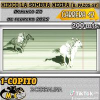 agustinvillalva722
