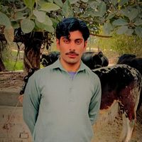 saqibmaken02