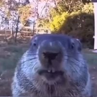 original sound - vria