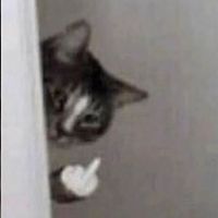 memeacasissimoproprio