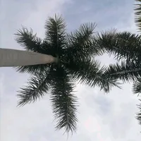 original sound - arom_tramvollo69